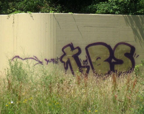 TBS graffiti autobahn A1 zrich-schwamendingen