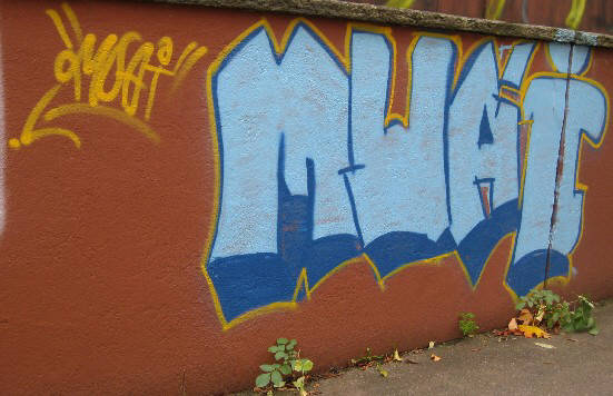 MUAI graffiti zrich