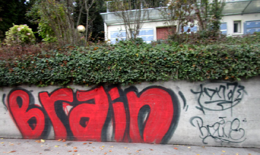 BRAIN graffiti zrich