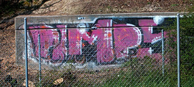 PIMPS graffiti zrich