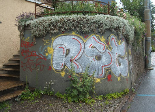 RSG graffiti hönggerstrasse zürich wipkingen